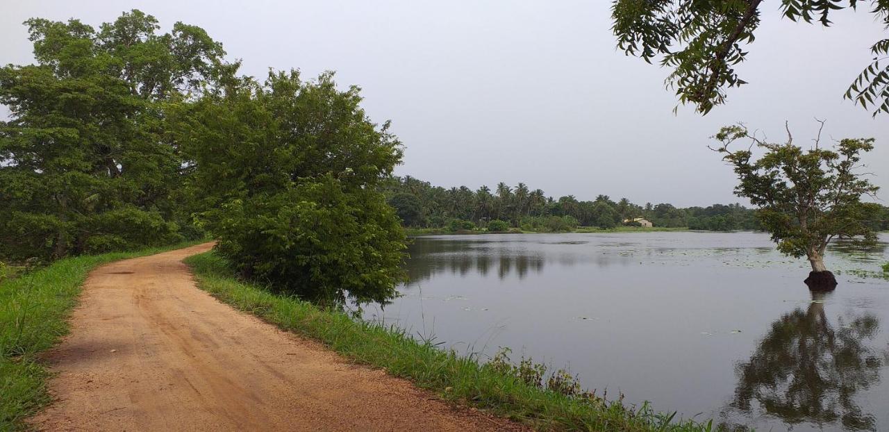 Hasthi Lake Resort Хабарана Экстерьер фото